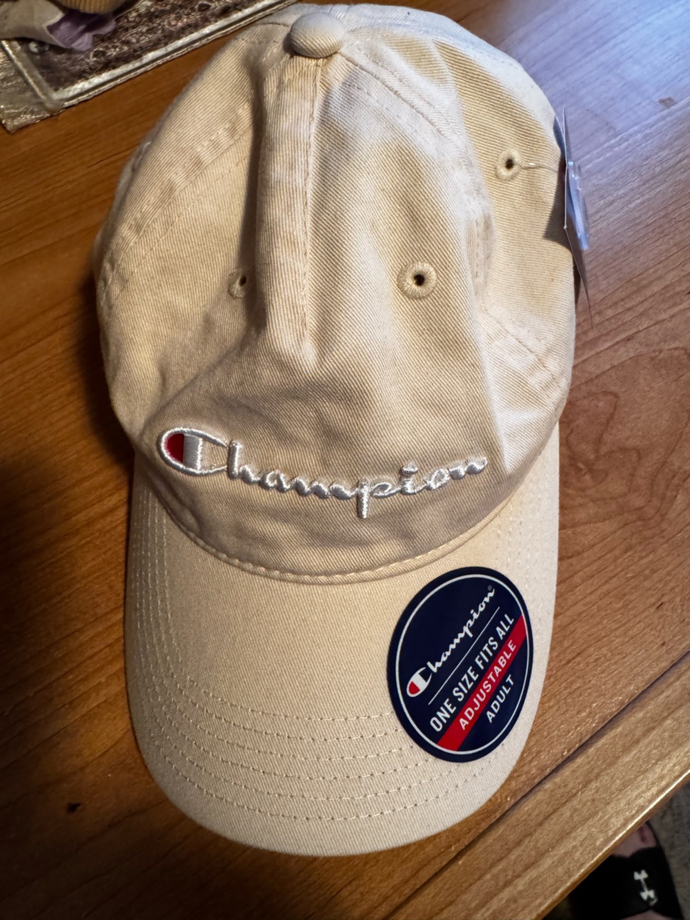 NWT Champion adjustable Hat